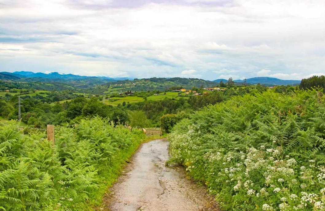 El Camino Primitivo Route